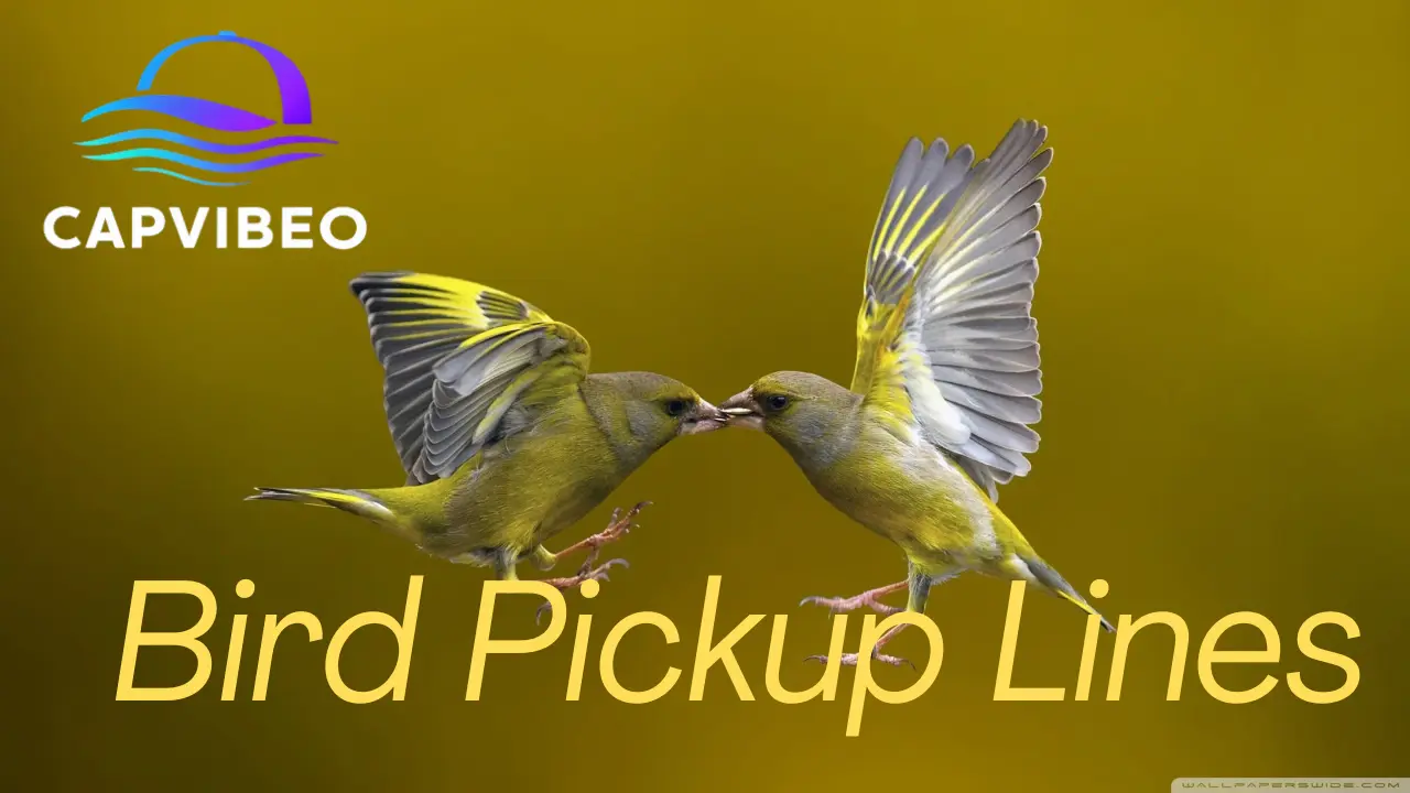Bird Pickup Lines