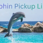 Dolphin Pickup Lines
