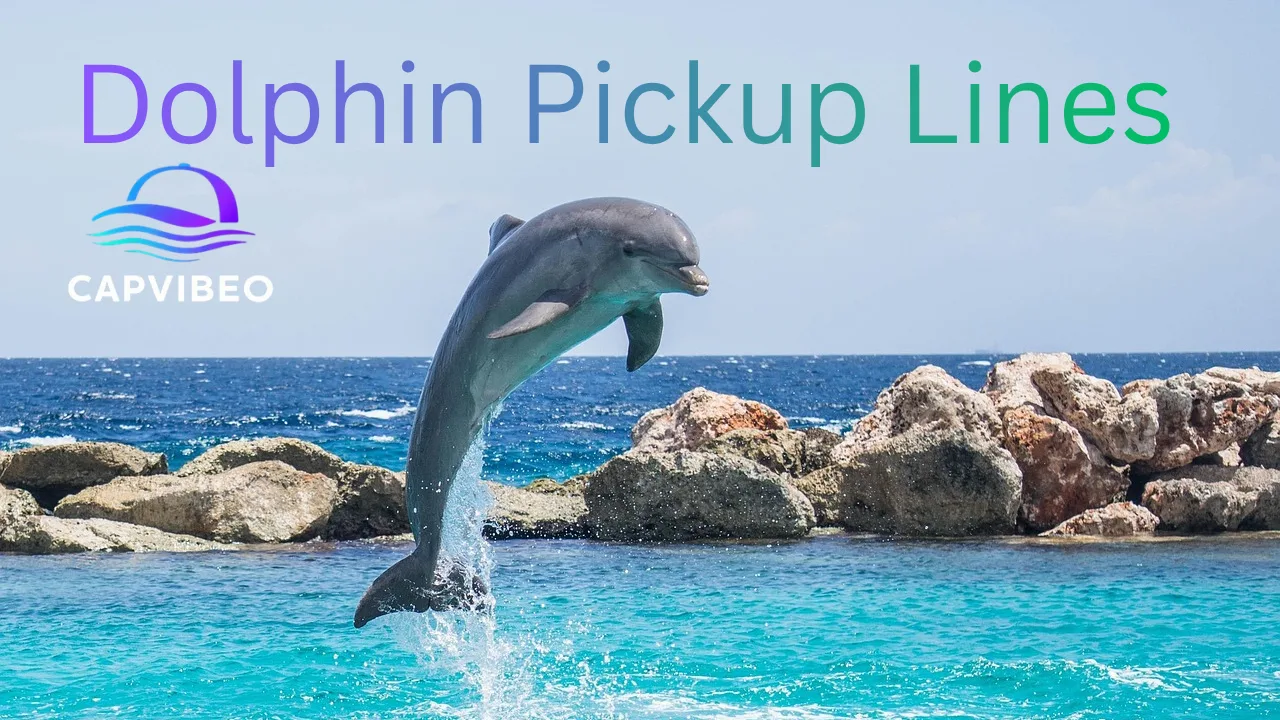 Dolphin Pickup Lines