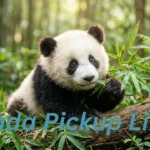 Dolphin Pickup Lines