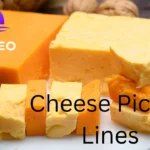 Cheese Pickup Lines