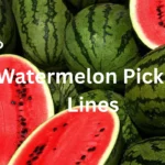 Watermelon Pickup Lines
