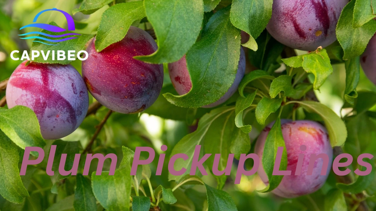 Plum Pickup Lines