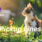 Cat Pickup Lines