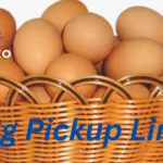 Egg Pickup Lines