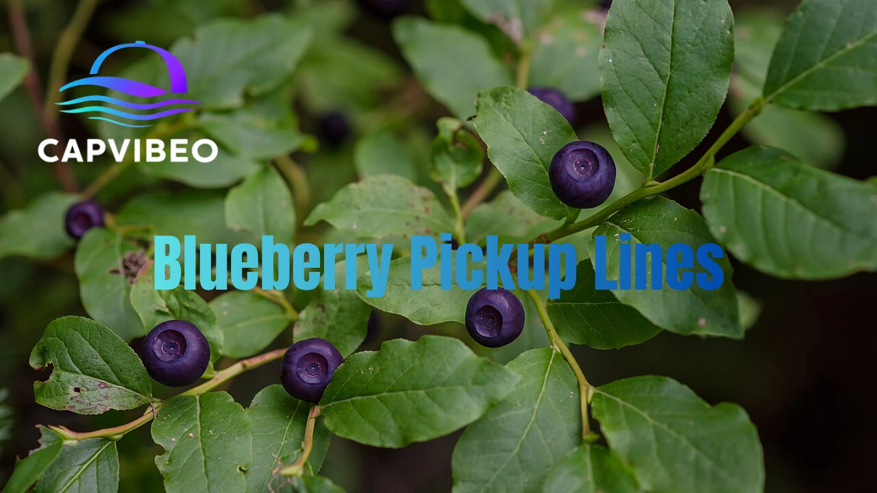 Blueberry Pickup Lines