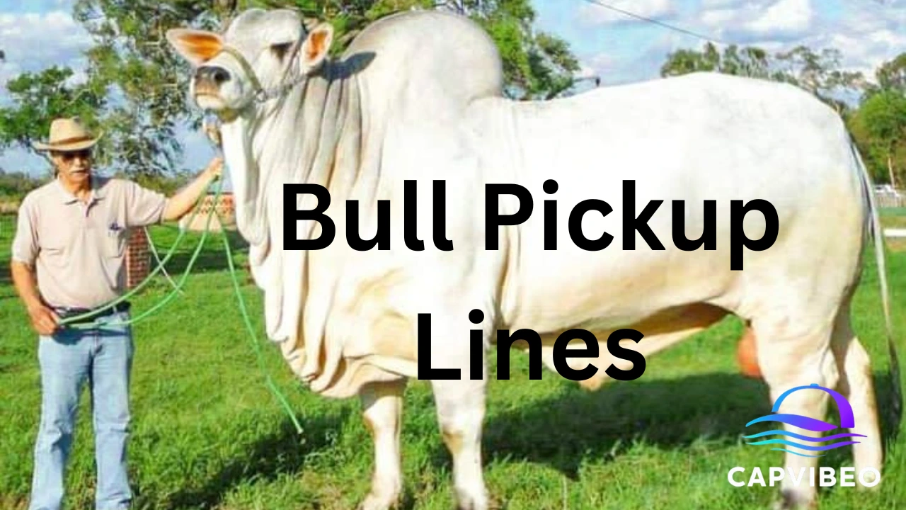 Bull Pickup Lines