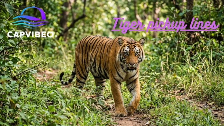 Tiger pickup lines
