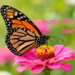 butterfly pickup lines