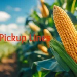 Corn Pickup Lines