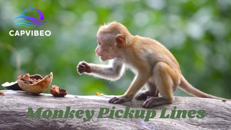 Monkey Pickup Lines