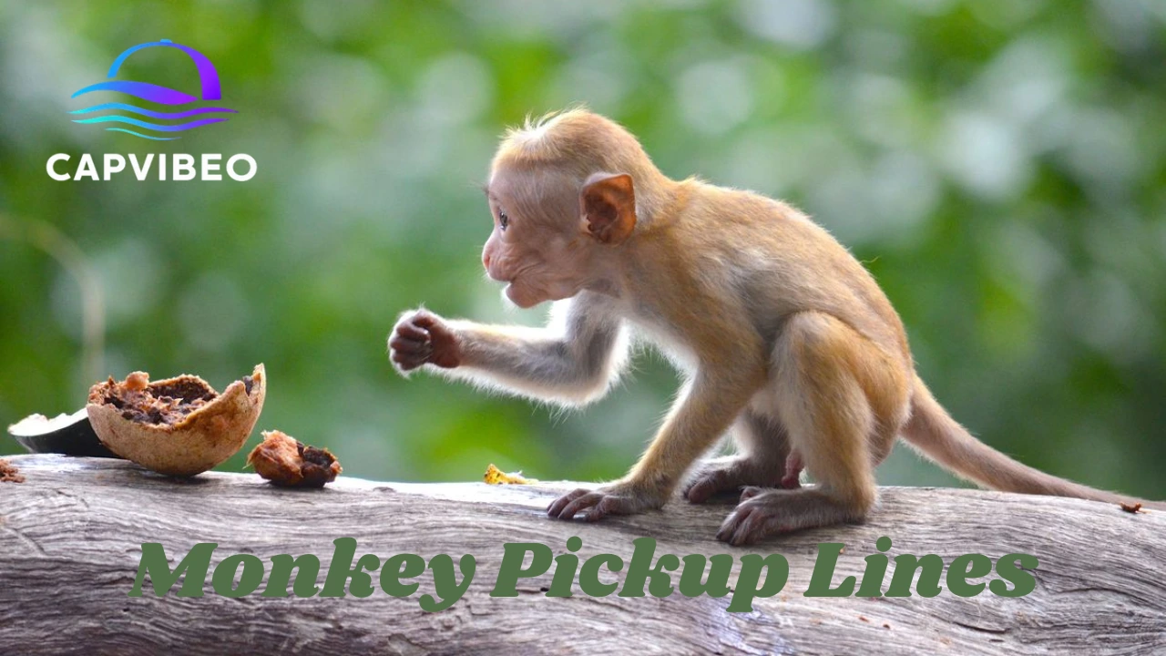 Monkey Pickup Lines
